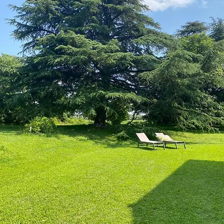 Al Rustico 招待所