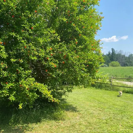 Al Rustico Гостевой дом