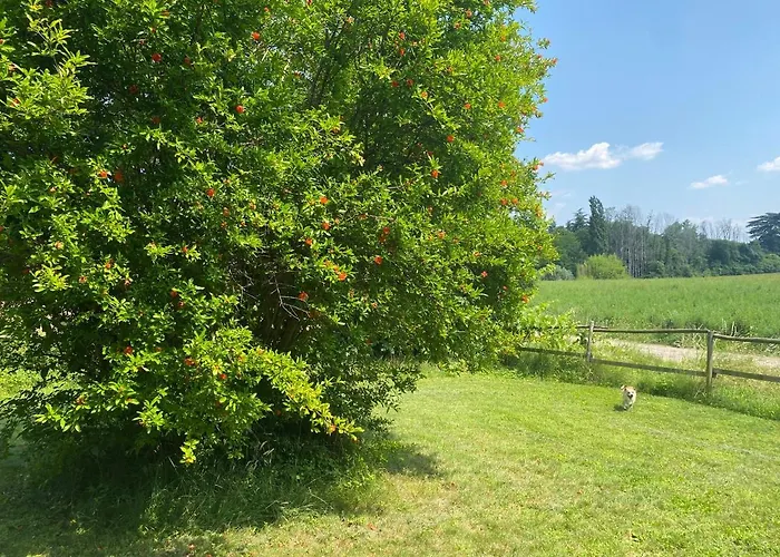 Al Rustico Gæstehus